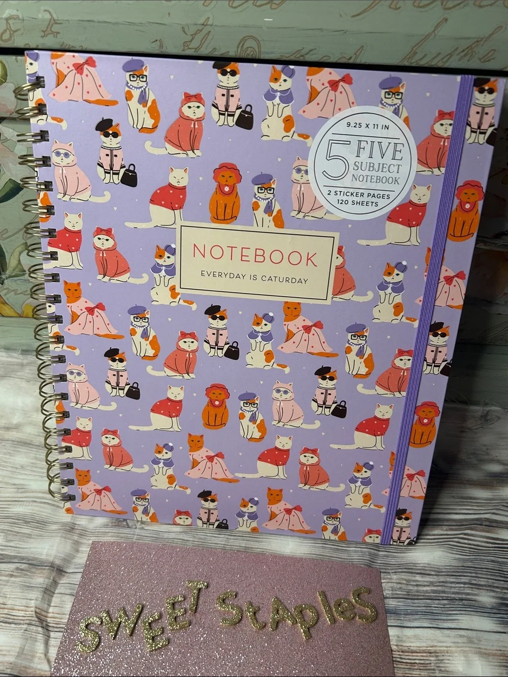 🎀😻 Adorable Kitty Cat Pattern Five-Subject Notebook Pink Purple Big